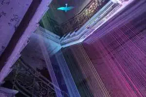 Полет за счастьем