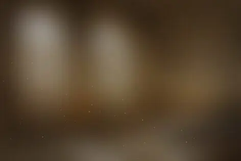 Квест «Тюремная камера» от В ловушке