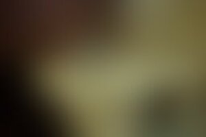 Фотография квеста Чтобы жить от компании New Quest (Фото 1)