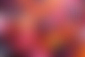 Фотография квеста-анимации Майнкрафт от компании Экспириум (Фото 1)