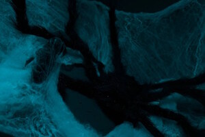 Фотография квеста Дом с привидениями от компании Victory Quest (Фото 1)