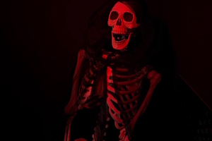 Фотография квеста Дом с привидениями от компании Victory Quest (Фото 3)